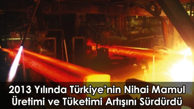 2013 Yılında Türkiye'nin Nihai Mamul Üretimi ve Tüketimi Artışını Sürdürdü