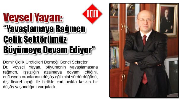 Veysel Yayan: Yavaşlamaya Rağmen Çelik Sektörümüz Büyümeye Devam Ediyor