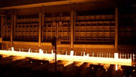 Aralık ayında hafif artış gösteren cinin ihracatı, 2007 yılı genelinde  46 oranında yükseldi
